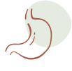 Gut Health Support