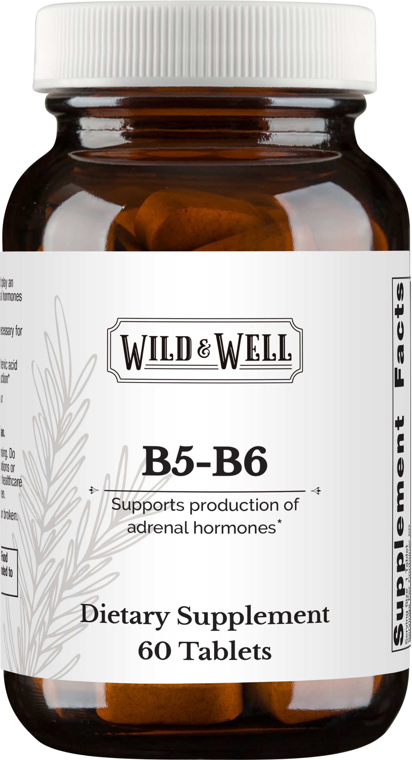 B5-B6