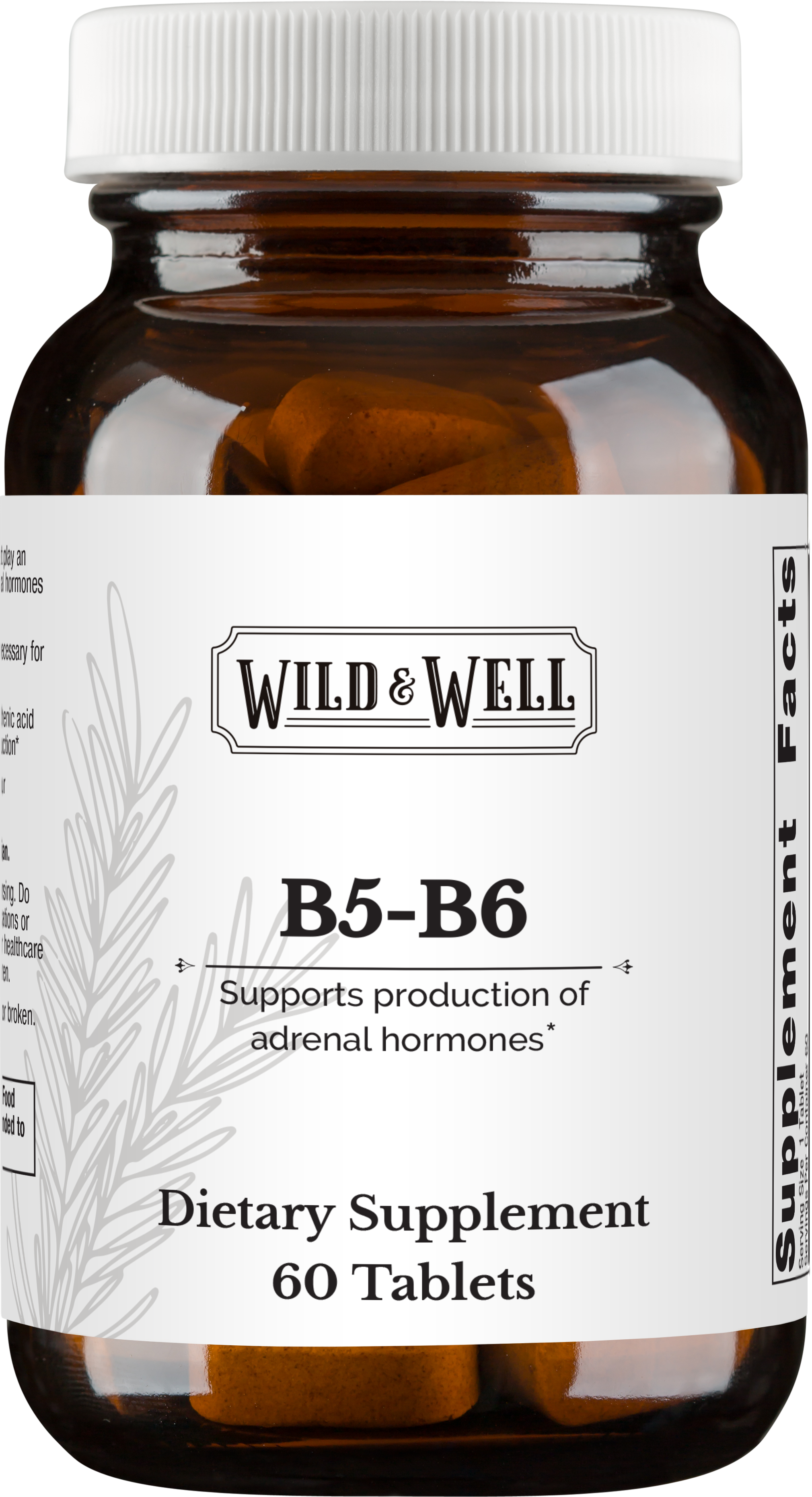 B5-B6