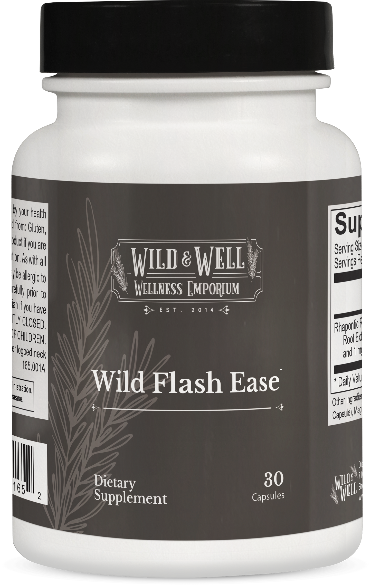 Wild Flash Ease