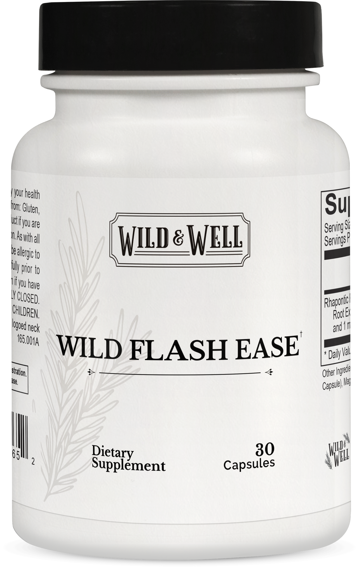 Wild Flash Ease