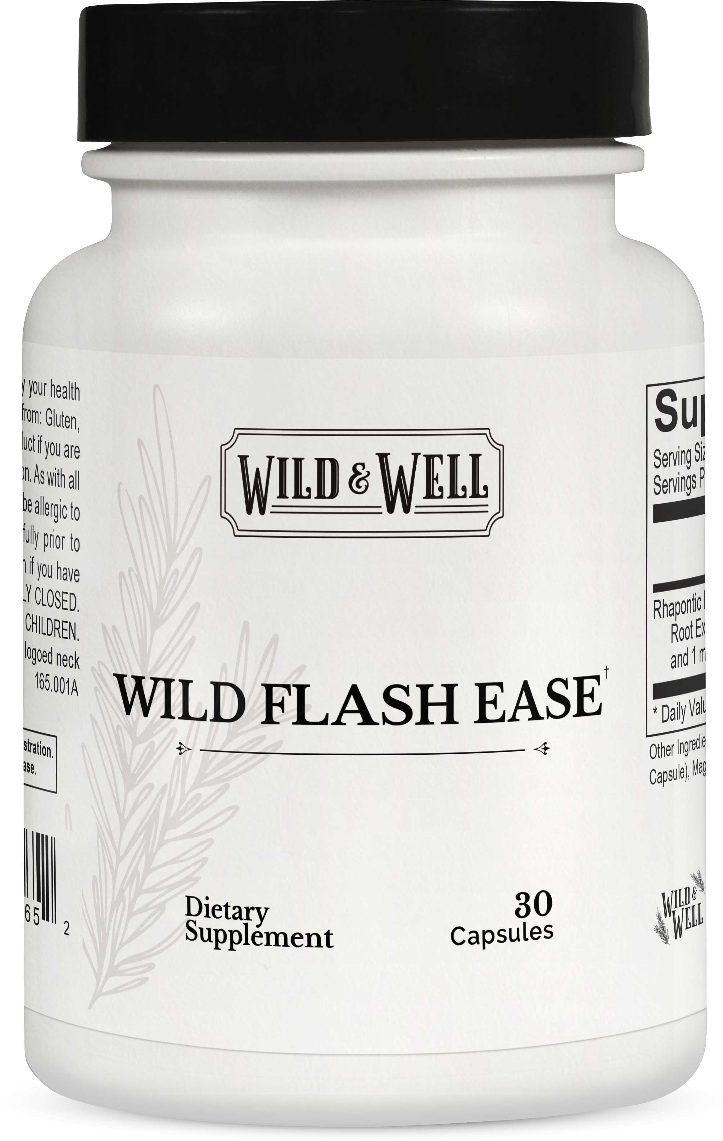 Wild Flash Ease