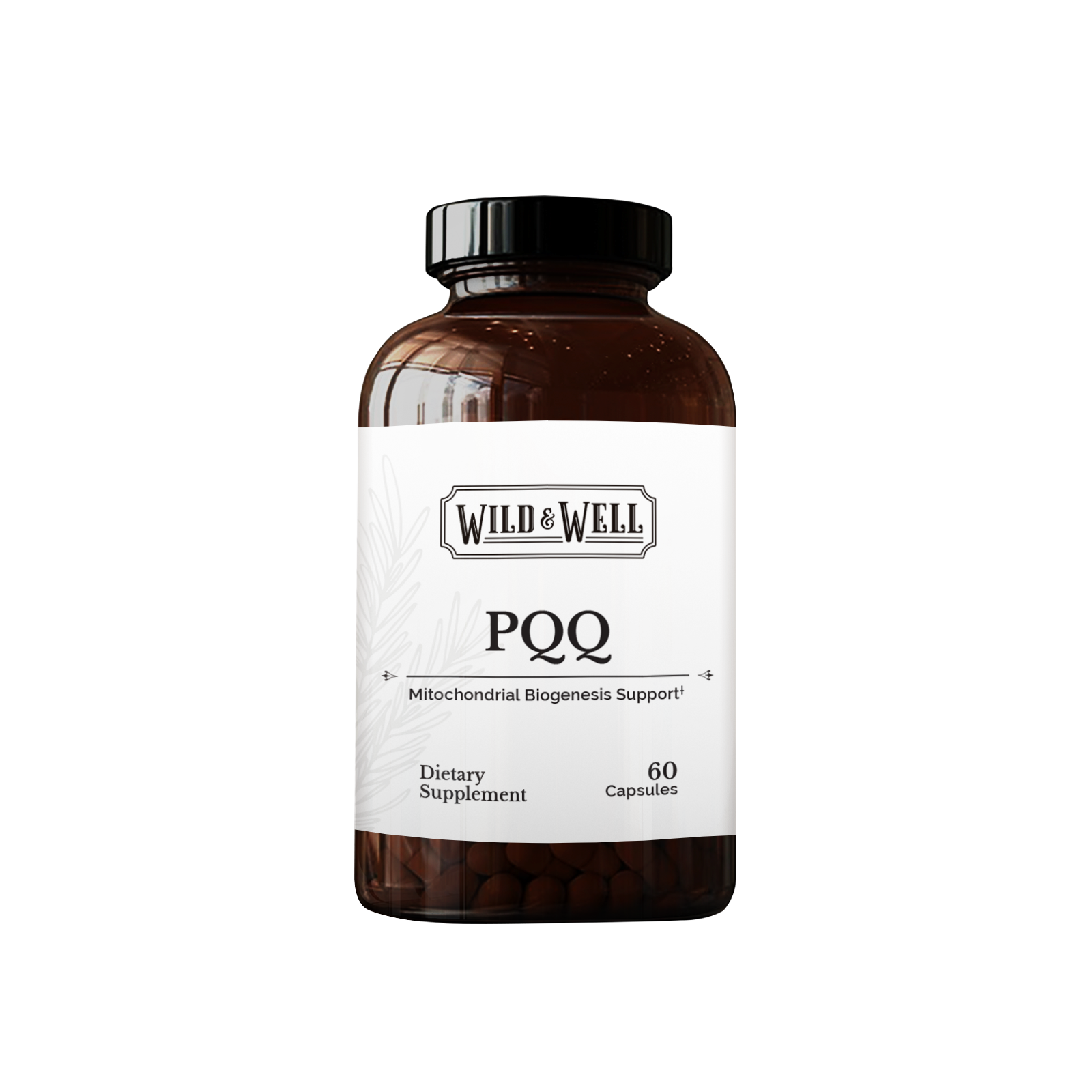 PQQ