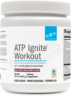 ATP Ignite Workout